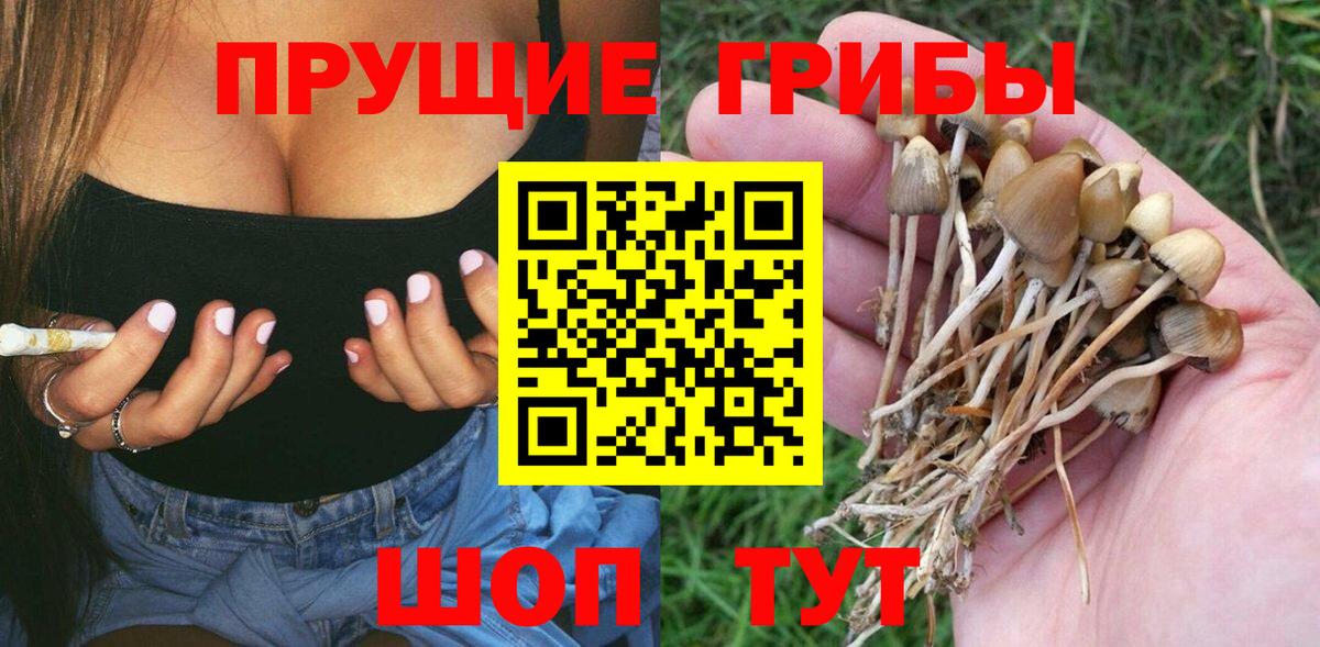 Псилоцибиновые грибы MAGIC MUSHROOMS Югорск